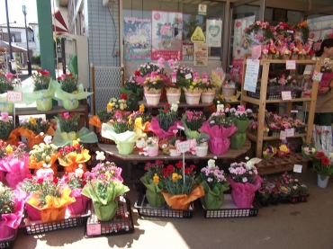 「羽生園芸」　（埼玉県羽生市）の花屋店舗写真2